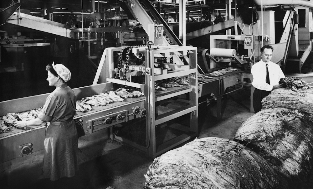 Workers inside the Leaf Stemmery at the former Philip Morris factory